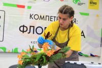 В Красноярском крае завершился Подготовительный этап Национального чемпионата «Абилимпикс»