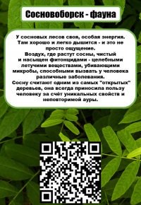 «На связи с природой!» Техникум принял участие во Всероссийском ЭКОпроекте