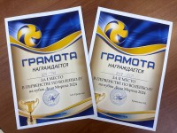Ежегодный турнир по волейболу на переходящий кубок Деда Мороза