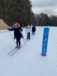 Соревнования по лыжным гонкам