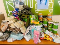 «СЫТАЯ МОРДА»: Сосновоборский техникум объединяет сердца