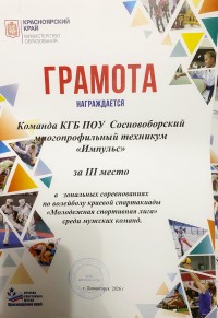 Молодёжная спортивная лига. Волейбол.