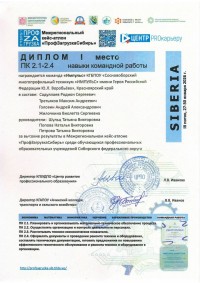 «ПрофЗагрузкаСибирь»: команда «Импульс» в числе лидеров
